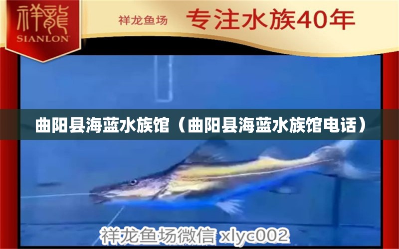 曲阳县海蓝水族馆（曲阳县海蓝水族馆电话） 全国水族馆企业名录