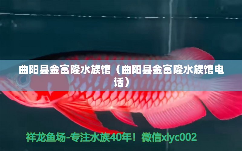 曲阳县金富隆水族馆（曲阳县金富隆水族馆电话） 全国水族馆企业名录