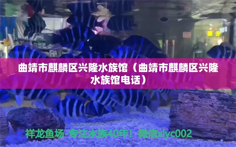 曲靖市麒麟区兴隆水族馆（曲靖市麒麟区兴隆水族馆电话）