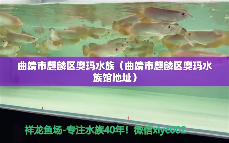 曲靖市麒麟区奥玛水族（曲靖市麒麟区奥玛水族馆地址） 全国水族馆企业名录