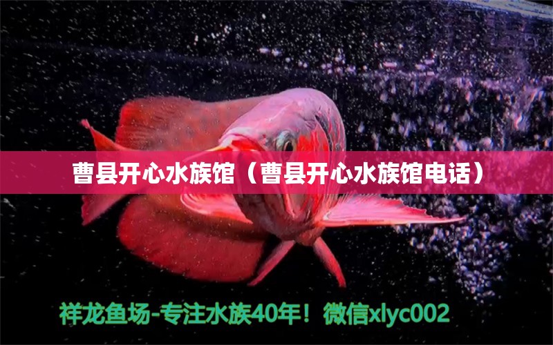 曹县开心水族馆（曹县开心水族馆电话）