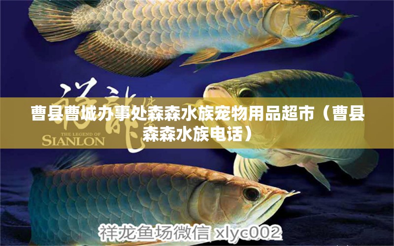 曹县曹城办事处森森水族宠物用品超市（曹县森森水族电话）