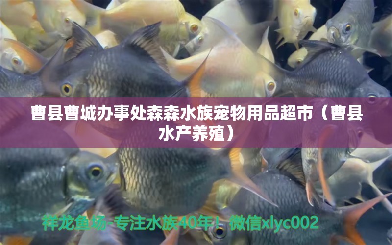 曹县曹城办事处森森水族宠物用品超市（曹县水产养殖） 全国水族馆企业名录
