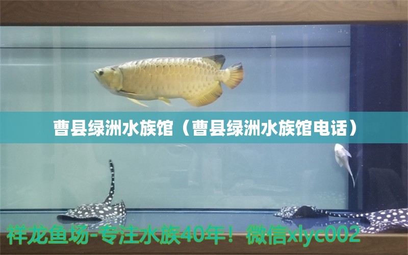 曹县绿洲水族馆（曹县绿洲水族馆电话） 全国水族馆企业名录