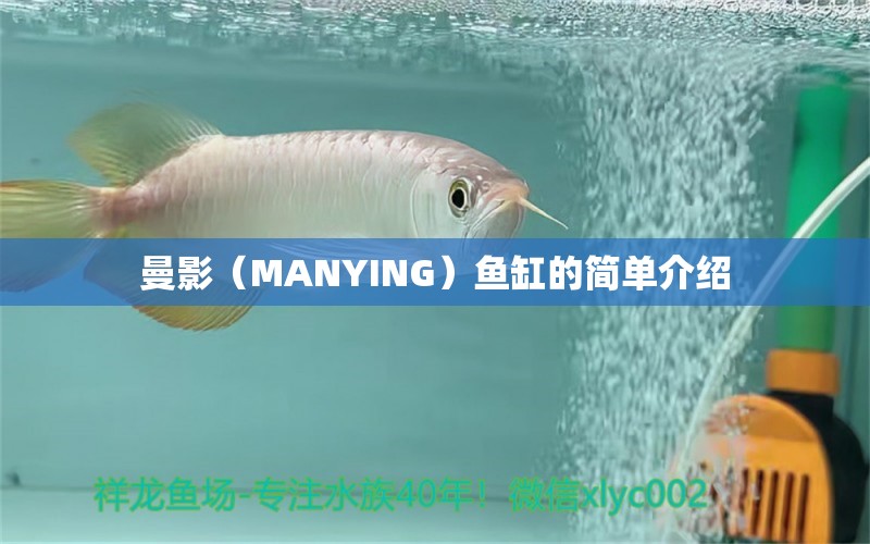 曼影（MANYING）鱼缸的简单介绍