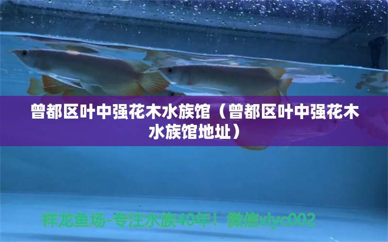 曾都区叶中强花木水族馆（曾都区叶中强花木水族馆地址） 全国水族馆企业名录