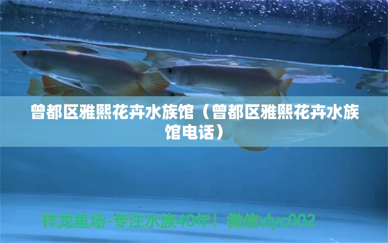 曾都区雅熙花卉水族馆（曾都区雅熙花卉水族馆电话）