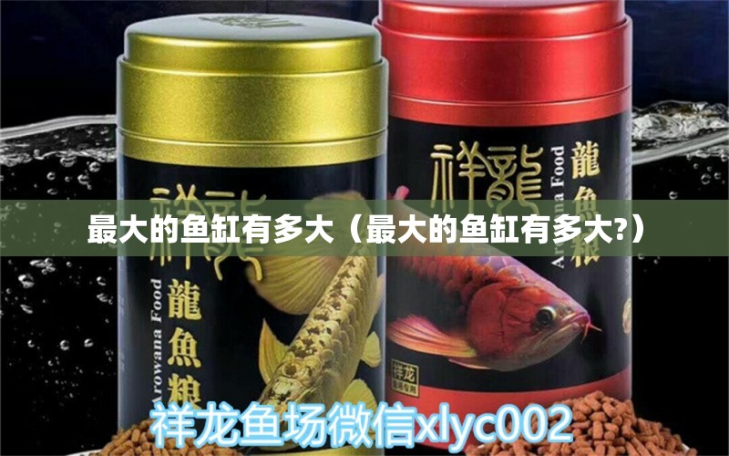 最大的鱼缸有多大（最大的鱼缸有多大?） 其他品牌鱼缸