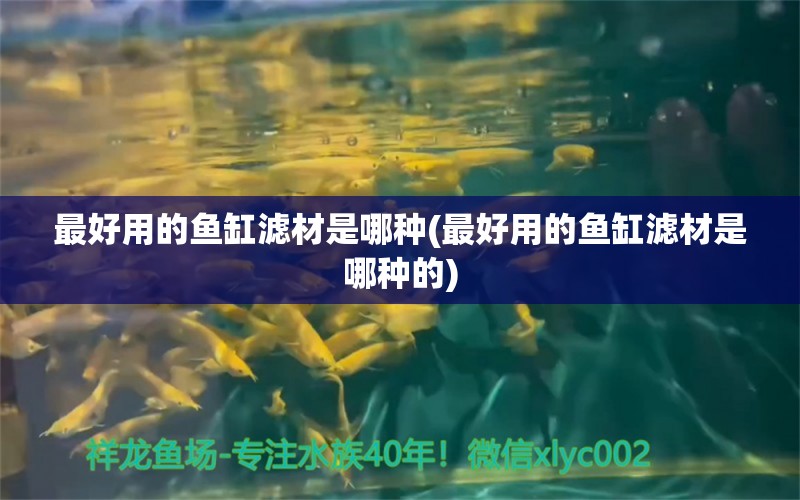 最好用的鱼缸滤材是哪种(最好用的鱼缸滤材是哪种的)