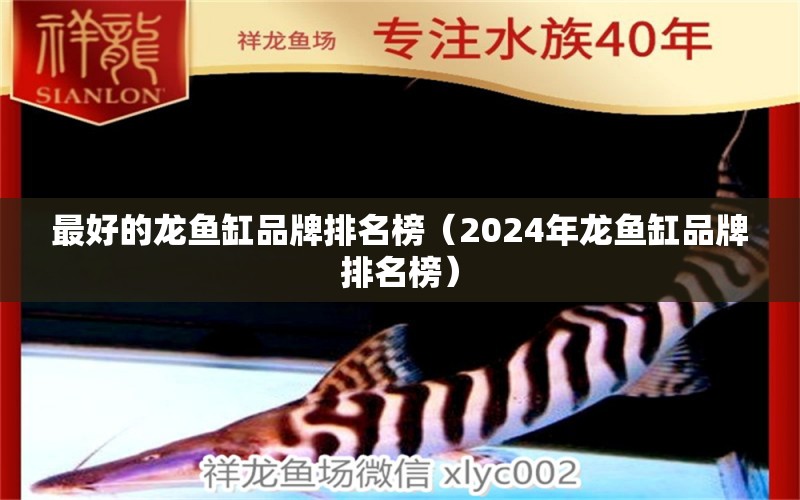 最好的龙鱼缸品牌排名榜（2024年龙鱼缸品牌排名榜）