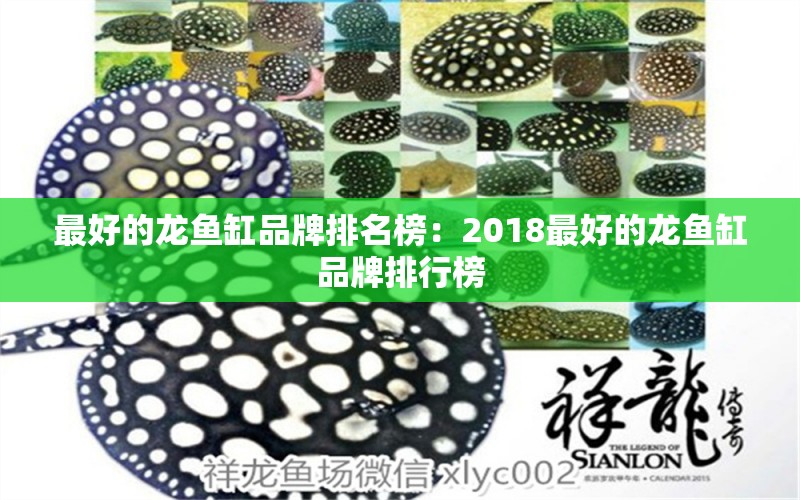 最好的龙鱼缸品牌排名榜：2018最好的龙鱼缸品牌排行榜