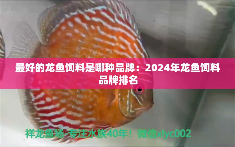 最好的龙鱼饲料是哪种品牌：2024年龙鱼饲料品牌排名 龙鱼百科 第1张