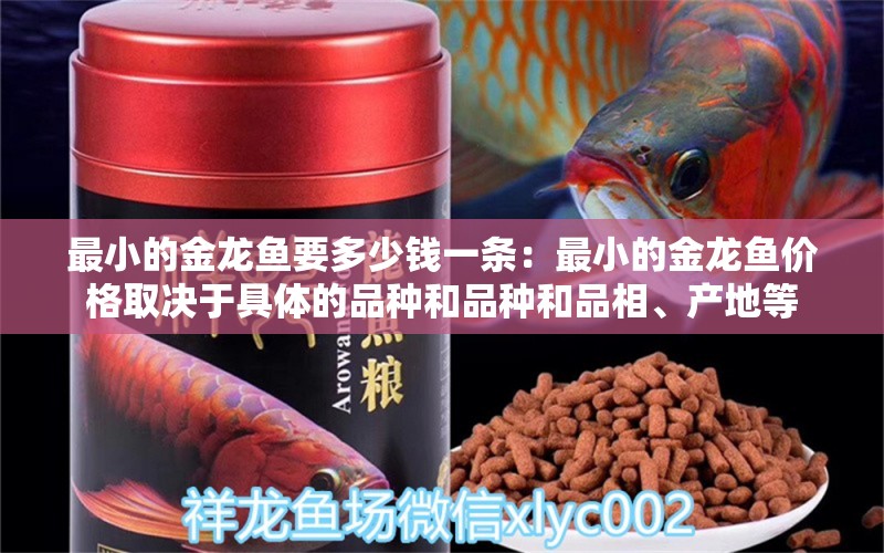 最小的金龙鱼要多少钱一条：最小的金龙鱼价格取决于具体的品种和品种和品相、产地等 龙鱼百科 第2张