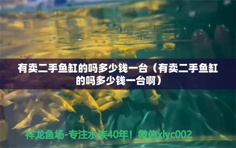 有卖二手鱼缸的吗多少钱一台（有卖二手鱼缸的吗多少钱一台啊） 观赏鱼市场（混养鱼）