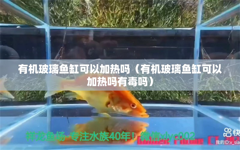 有机玻璃鱼缸可以加热吗（有机玻璃鱼缸可以加热吗有毒吗）