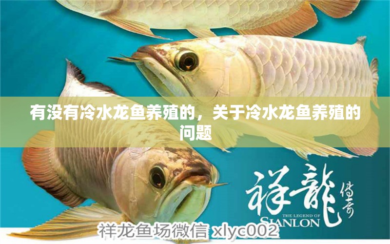 有没有冷水龙鱼养殖的，关于冷水龙鱼养殖的问题 水族问答 第2张