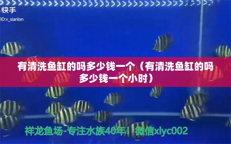 有清洗鱼缸的吗多少钱一个（有清洗鱼缸的吗多少钱一个小时） 绿皮皇冠豹鱼