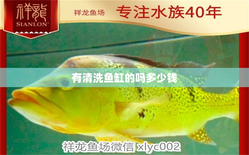 有清洗鱼缸的吗多少钱 水族问答 第2张