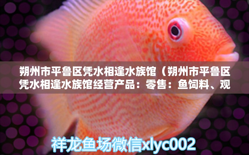 朔州市平鲁区凭水相逢水族馆（朔州市平鲁区凭水相逢水族馆经营产品：零售：鱼饲料、观赏鱼、鱼缸、渔具） 全国观赏鱼市场 第2张