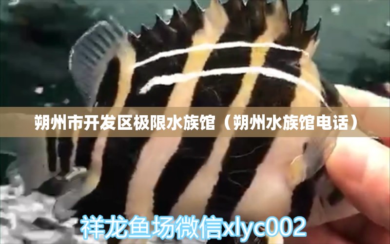 朔州市开发区极限水族馆（朔州水族馆电话） 全国水族馆企业名录