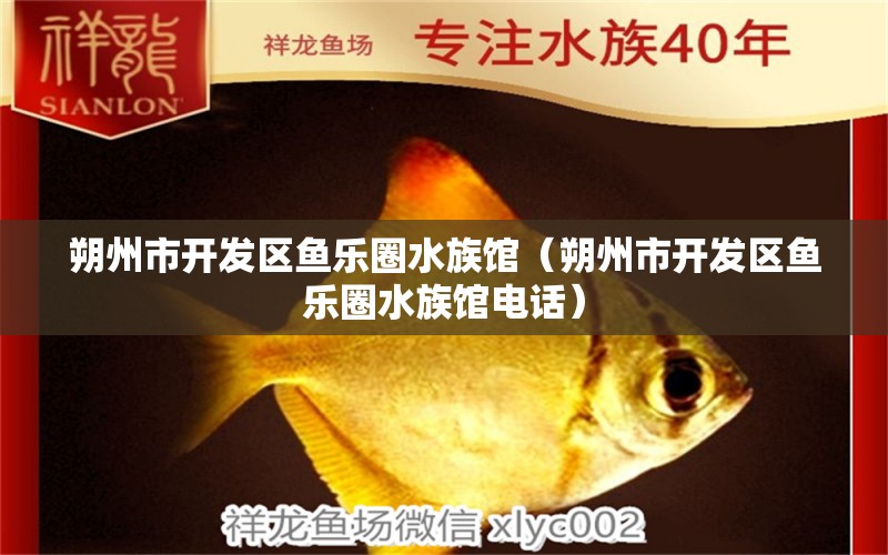 朔州市开发区鱼乐圈水族馆（朔州市开发区鱼乐圈水族馆电话）