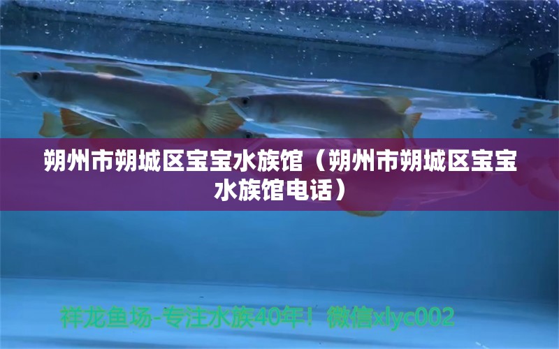 朔州市朔城区宝宝水族馆（朔州市朔城区宝宝水族馆电话）