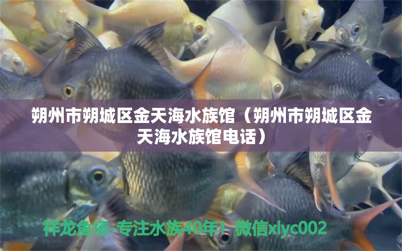 朔州市朔城区金天海水族馆（朔州市朔城区金天海水族馆电话） 全国水族馆企业名录