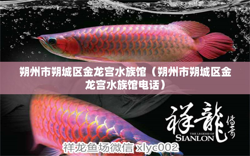 朔州市朔城区金龙宫水族馆（朔州市朔城区金龙宫水族馆电话） 全国水族馆企业名录