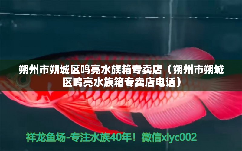 朔州市朔城区鸣亮水族箱专卖店（朔州市朔城区鸣亮水族箱专卖店电话） 鱼缸/水族箱