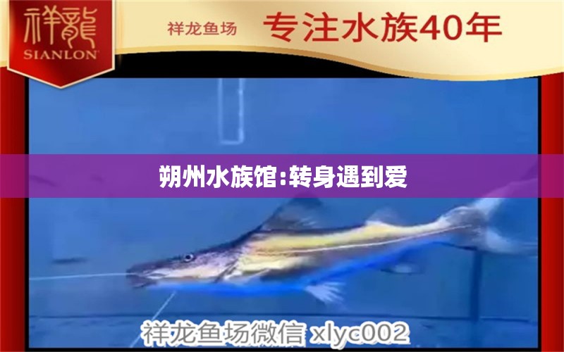 朔州水族馆:转身遇到爱 其他益生菌