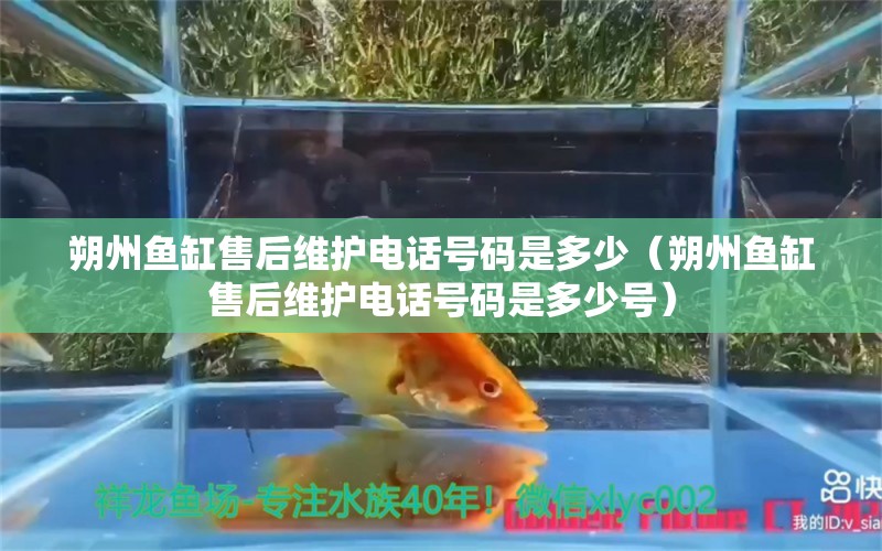 朔州鱼缸售后维护电话号码是多少（朔州鱼缸售后维护电话号码是多少号）