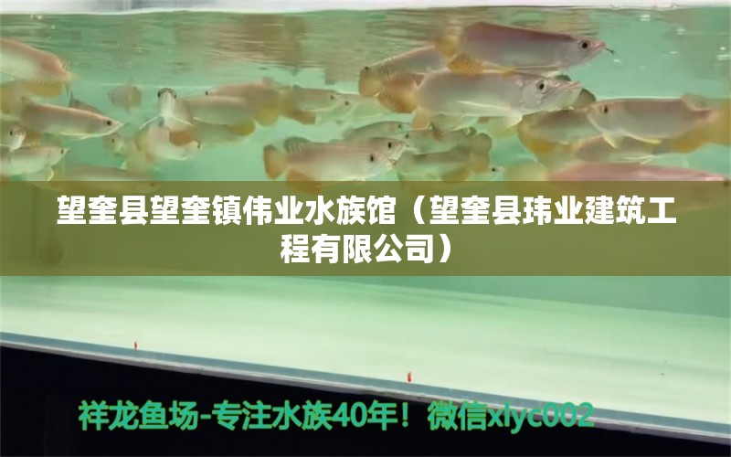 望奎县望奎镇伟业水族馆（望奎县玮业建筑工程有限公司） 全国水族馆企业名录