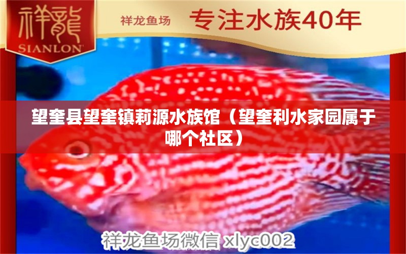 望奎县望奎镇莉源水族馆（望奎利水家园属于哪个社区）