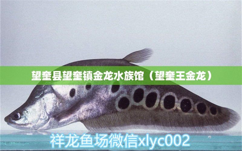 望奎县望奎镇金龙水族馆（望奎王金龙）