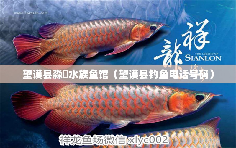 望谟县淼鱻水族鱼馆（望谟县钓鱼电话号码） 垂钓乐园