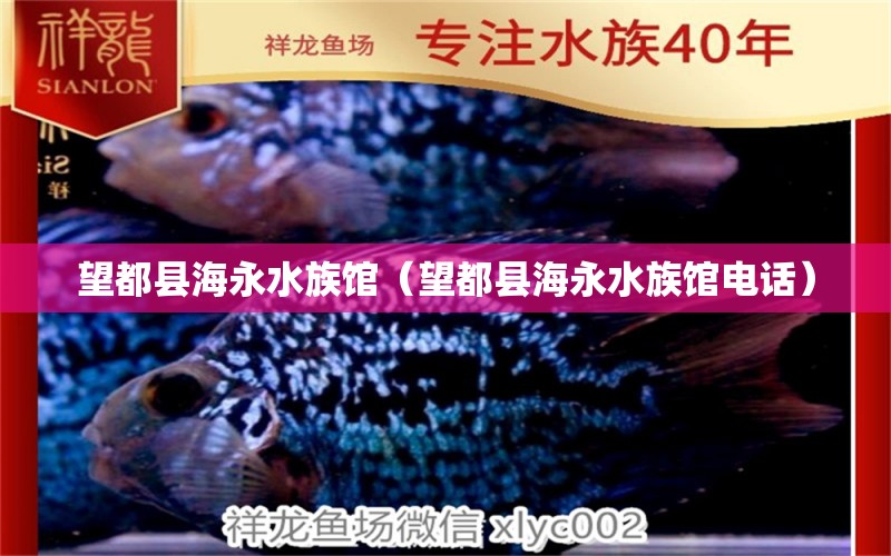 望都县海永水族馆（望都县海永水族馆电话） 全国水族馆企业名录