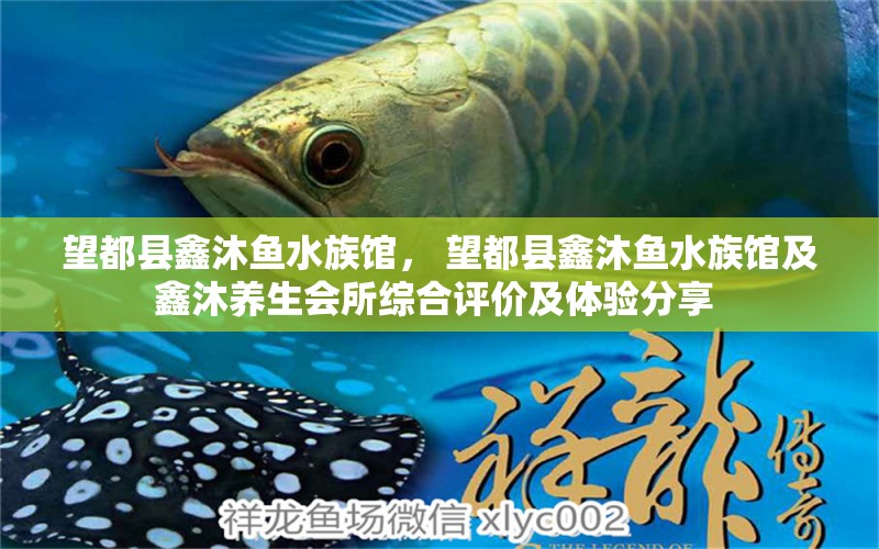 望都县鑫沐鱼水族馆， 望都县鑫沐鱼水族馆及鑫沐养生会所综合评价及体验分享 