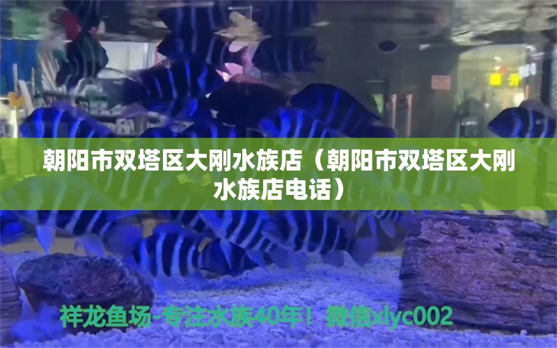 朝阳市双塔区大刚水族店（朝阳市双塔区大刚水族店电话）