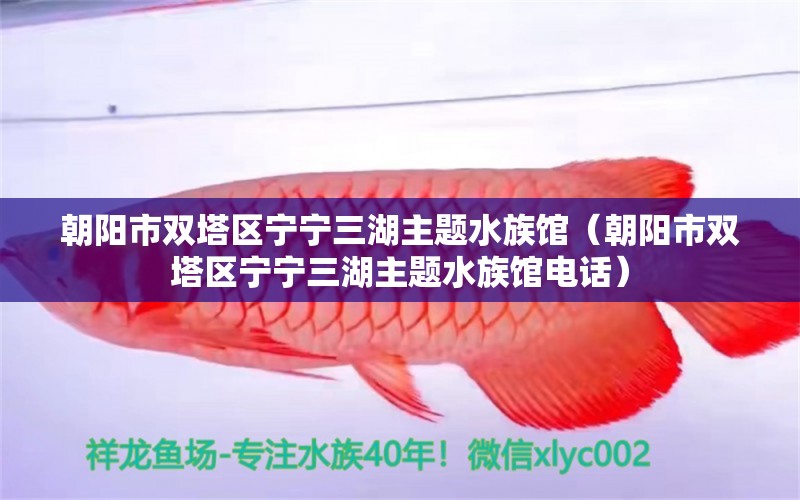 朝阳市双塔区宁宁三湖主题水族馆（朝阳市双塔区宁宁三湖主题水族馆电话）