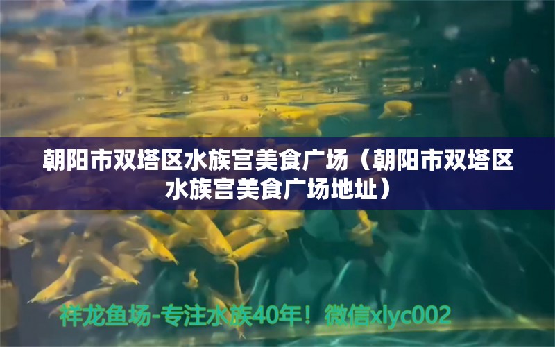 朝阳市双塔区水族宫美食广场（朝阳市双塔区水族宫美食广场地址） 全国水族馆企业名录