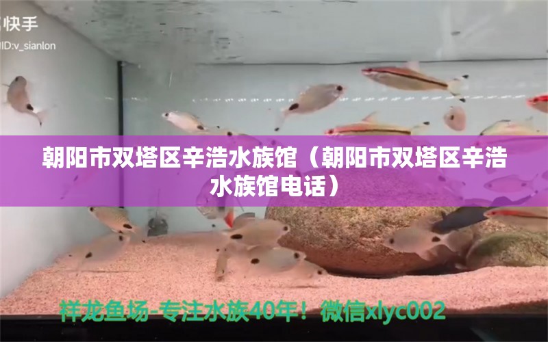 朝阳市双塔区辛浩水族馆（朝阳市双塔区辛浩水族馆电话） 全国水族馆企业名录