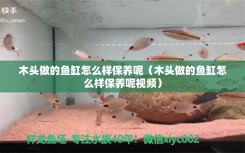 木头做的鱼缸怎么样保养呢（木头做的鱼缸怎么样保养呢视频） 其他品牌鱼缸