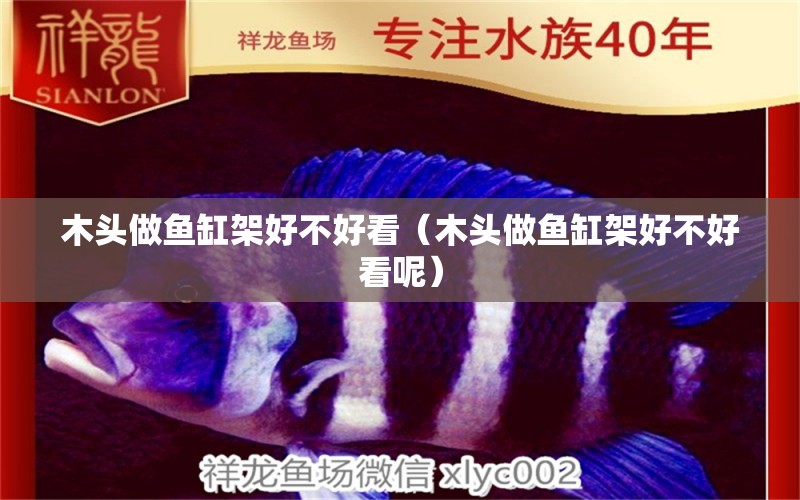 木头做鱼缸架好不好看（木头做鱼缸架好不好看呢） 水族用品