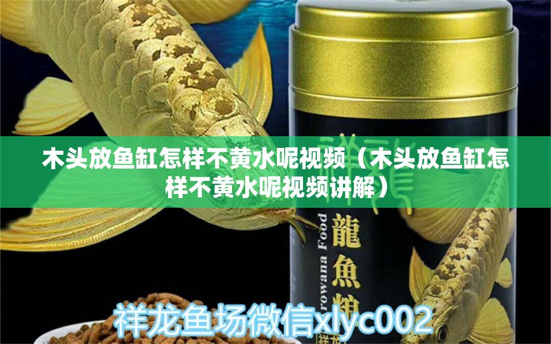 木头放鱼缸怎样不黄水呢视频（木头放鱼缸怎样不黄水呢视频讲解）