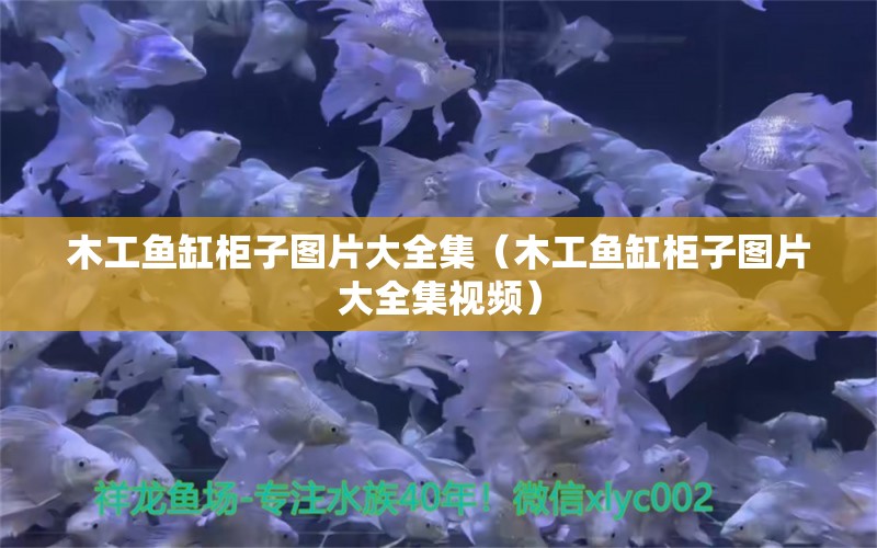 木工鱼缸柜子图片大全集（木工鱼缸柜子图片大全集视频）