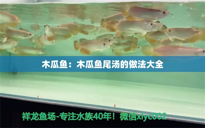 木瓜鱼：木瓜鱼尾汤的做法大全