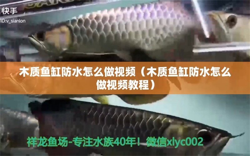 木质鱼缸防水怎么做视频（木质鱼缸防水怎么做视频教程） 其他品牌鱼缸