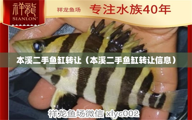 本溪二手鱼缸转让（本溪二手鱼缸转让信息） 祥龙水族医院