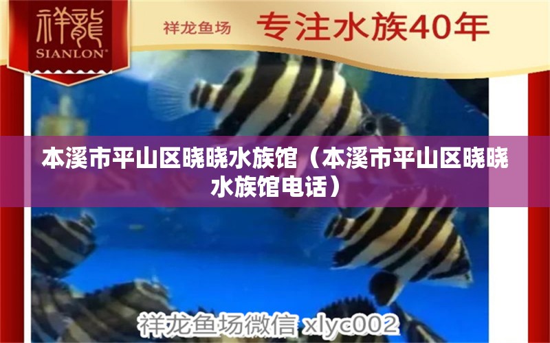 本溪市平山区晓晓水族馆（本溪市平山区晓晓水族馆电话） 全国水族馆企业名录