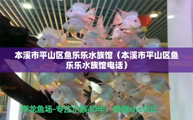 本溪市平山区鱼乐乐水族馆（本溪市平山区鱼乐乐水族馆电话）